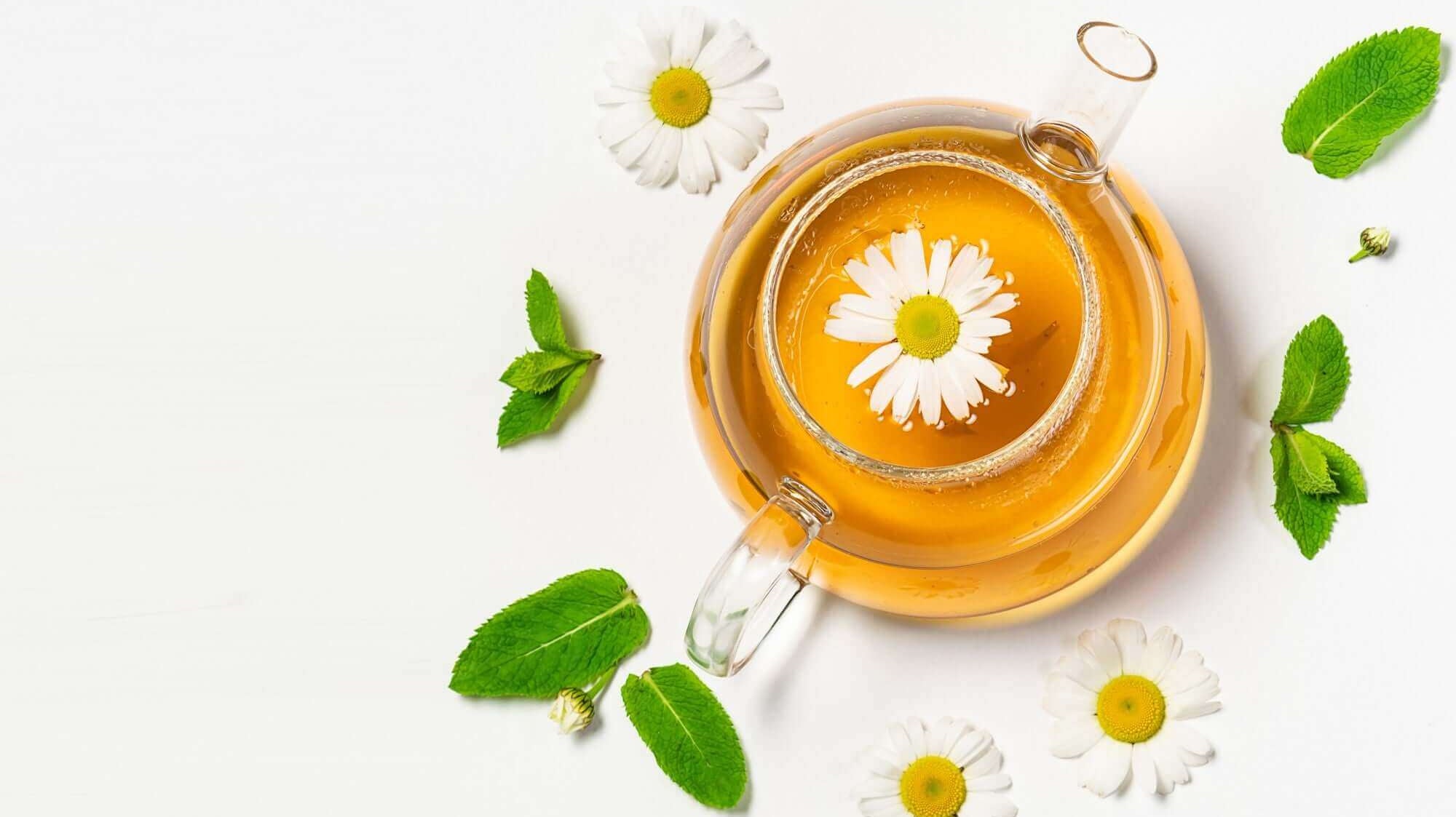 Chamomile tea & It’s benefits