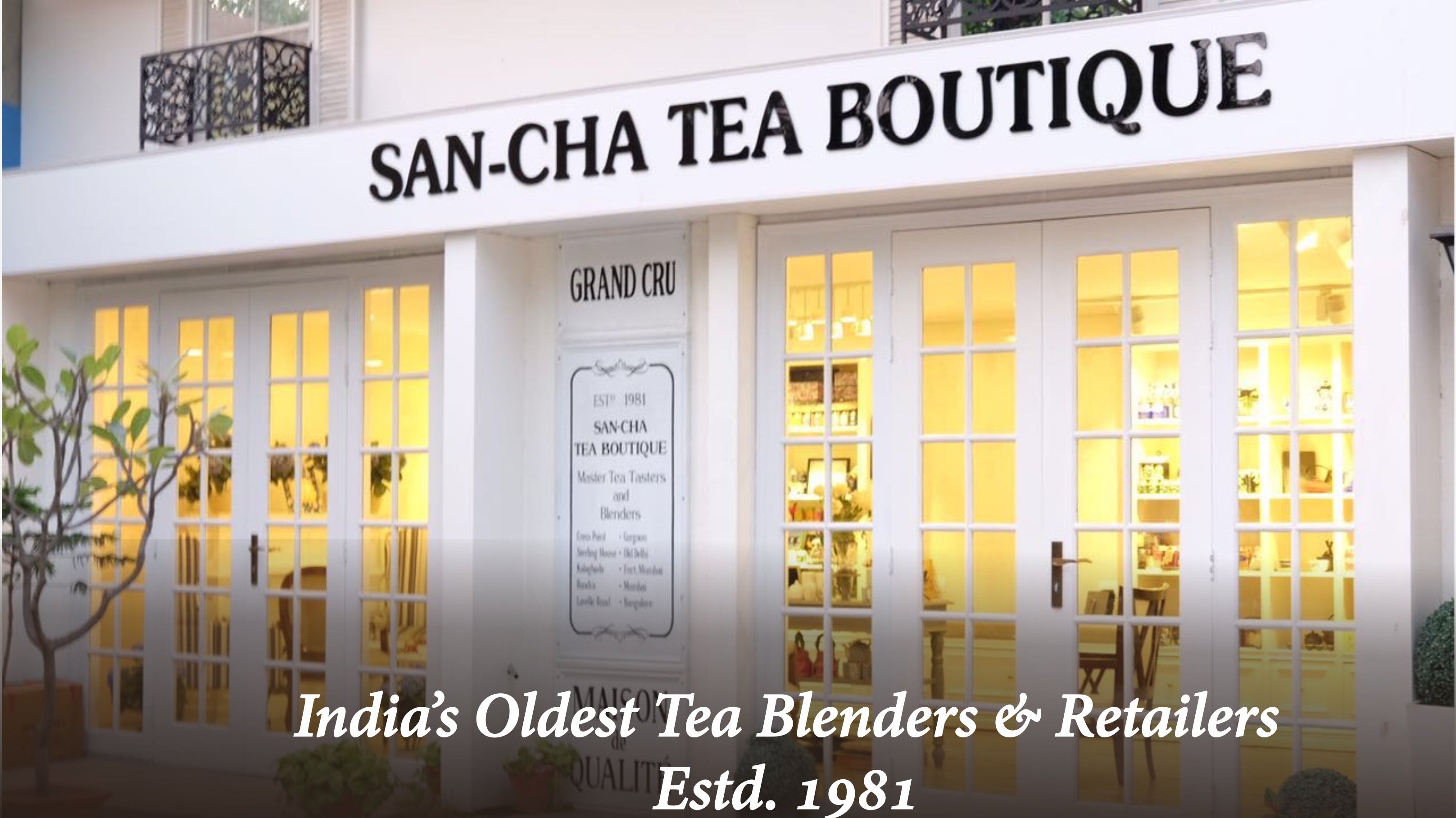 Sancha Tea Boutique – India’s Finest Tea Experience