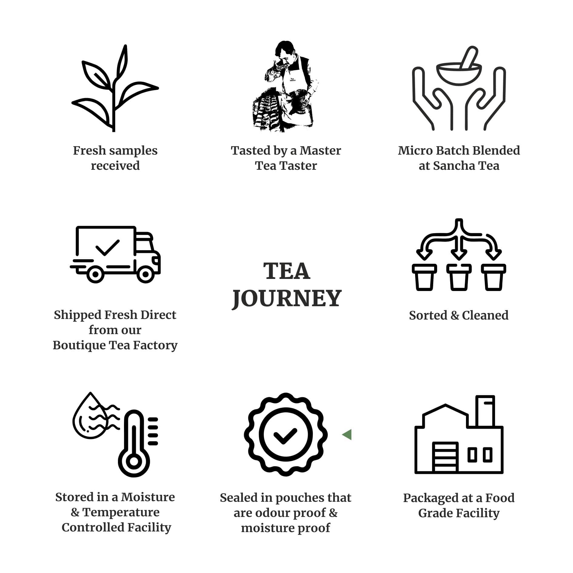 sancha tea farm to cup