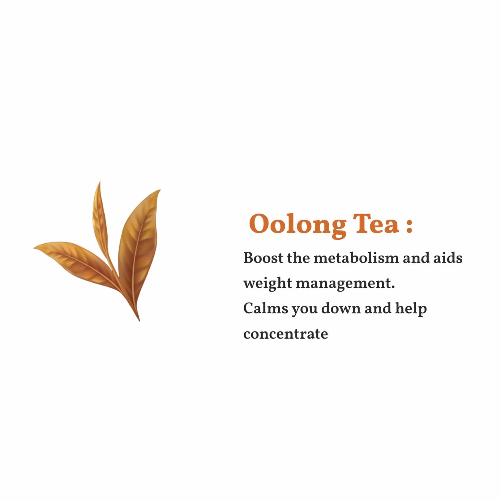 oolong tea