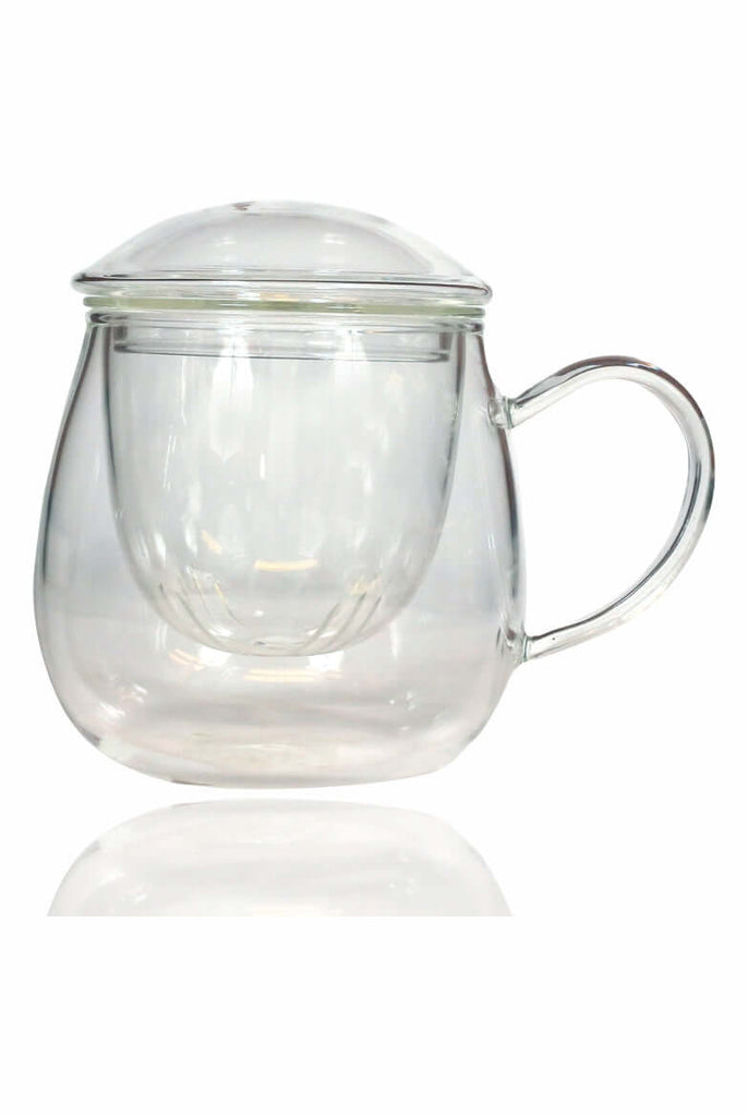 Borosilicate Glass Tea Mug with Glass Infuser| Buy Tea Mug Online|Sancha