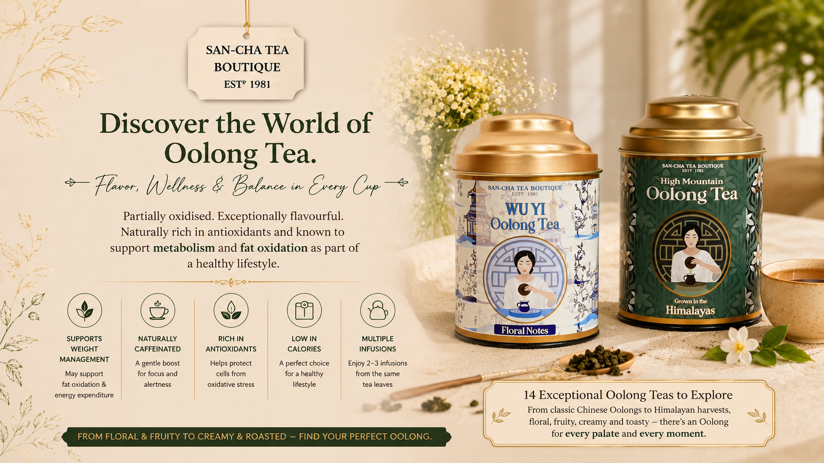 SAN-CHA Tea Boutique banner featuring Wu Yi Oolong Tea and High Mountain Oolong Tea, highlighting the flavour, wellness and weight-management benefits of Oolong tea and showcasing a collection of 14 exceptional Oolong teas.