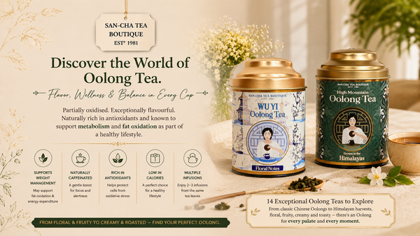 SAN-CHA Tea Boutique banner featuring Wu Yi Oolong Tea and High Mountain Oolong Tea, highlighting the flavour, wellness and weight-management benefits of Oolong tea and showcasing a collection of 14 exceptional Oolong teas.