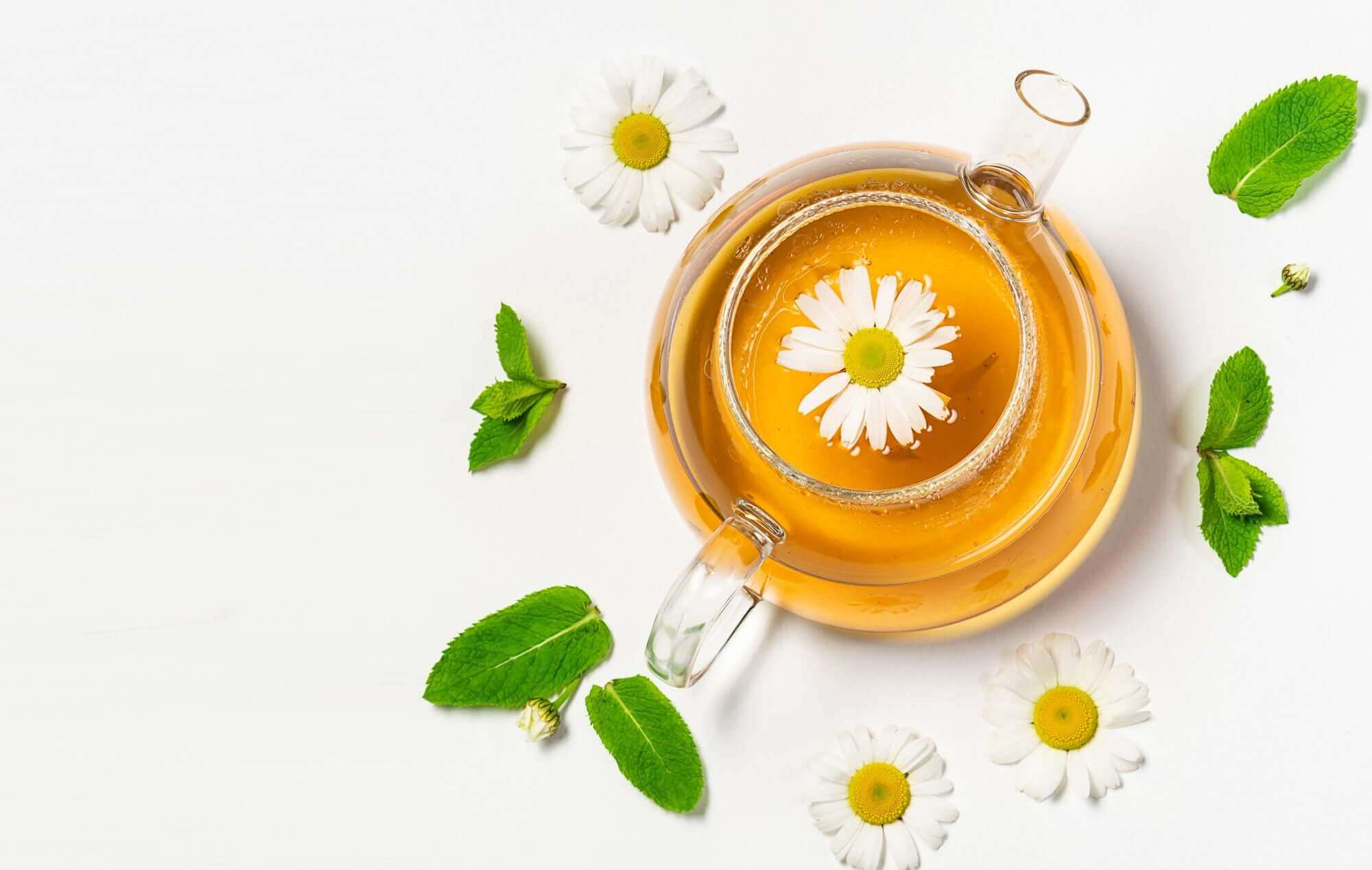 Chamomile tea & It’s benefits