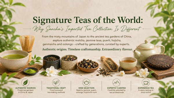 Signature teas of the world blog header