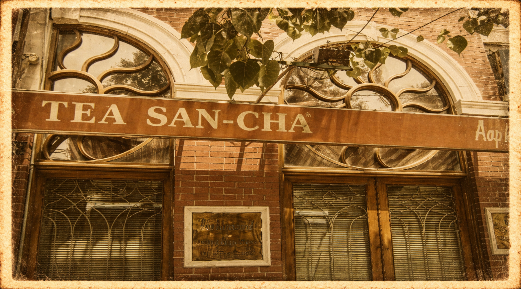 SAN-CHA Tea: 44 Years of Crafting the Finest Quality Indian Teas