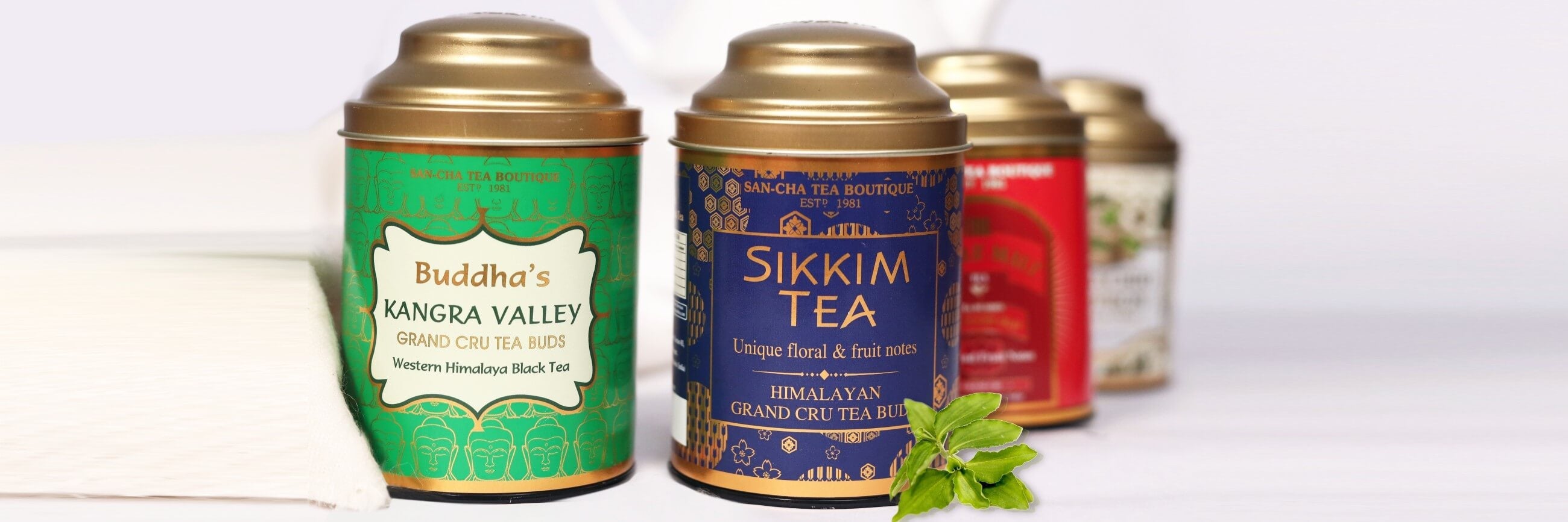 Kangra & Sikkim Teas – Rare Himalayan Origins