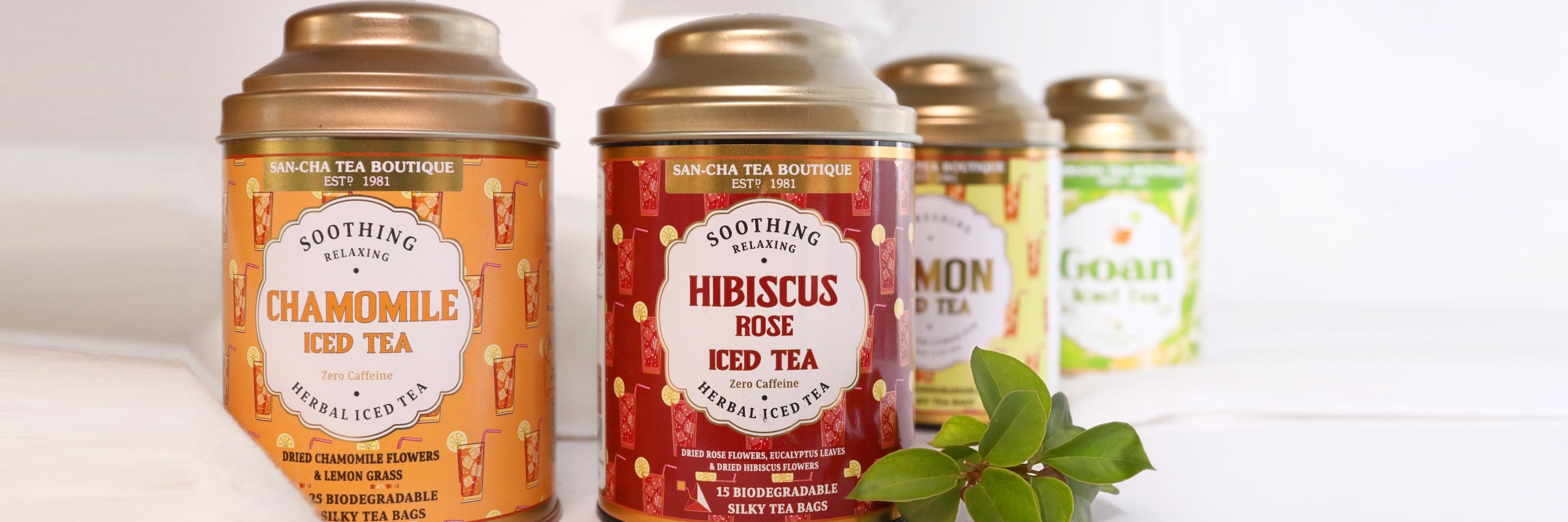 Iced Tea Collection – Refreshing & Naturally Crafted