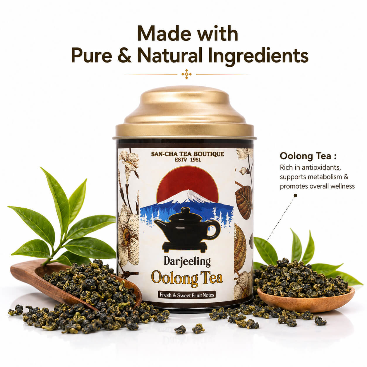 Darjeeling Oolong Tea – Limited Edition Himalayan Harvest – Sancha