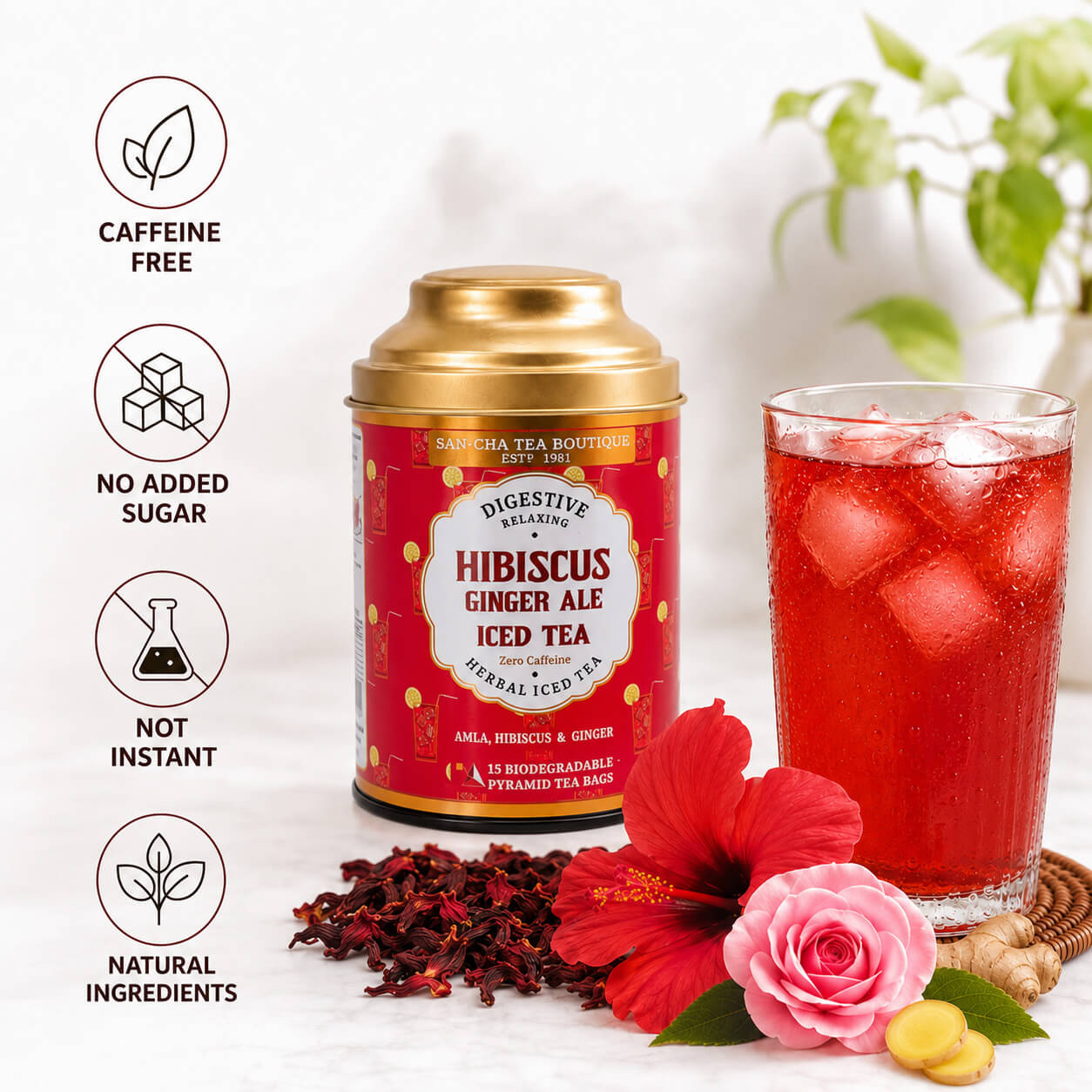 All-Natural Hibiscus & Amla Iced Tea | Caffeine-Free, No Added