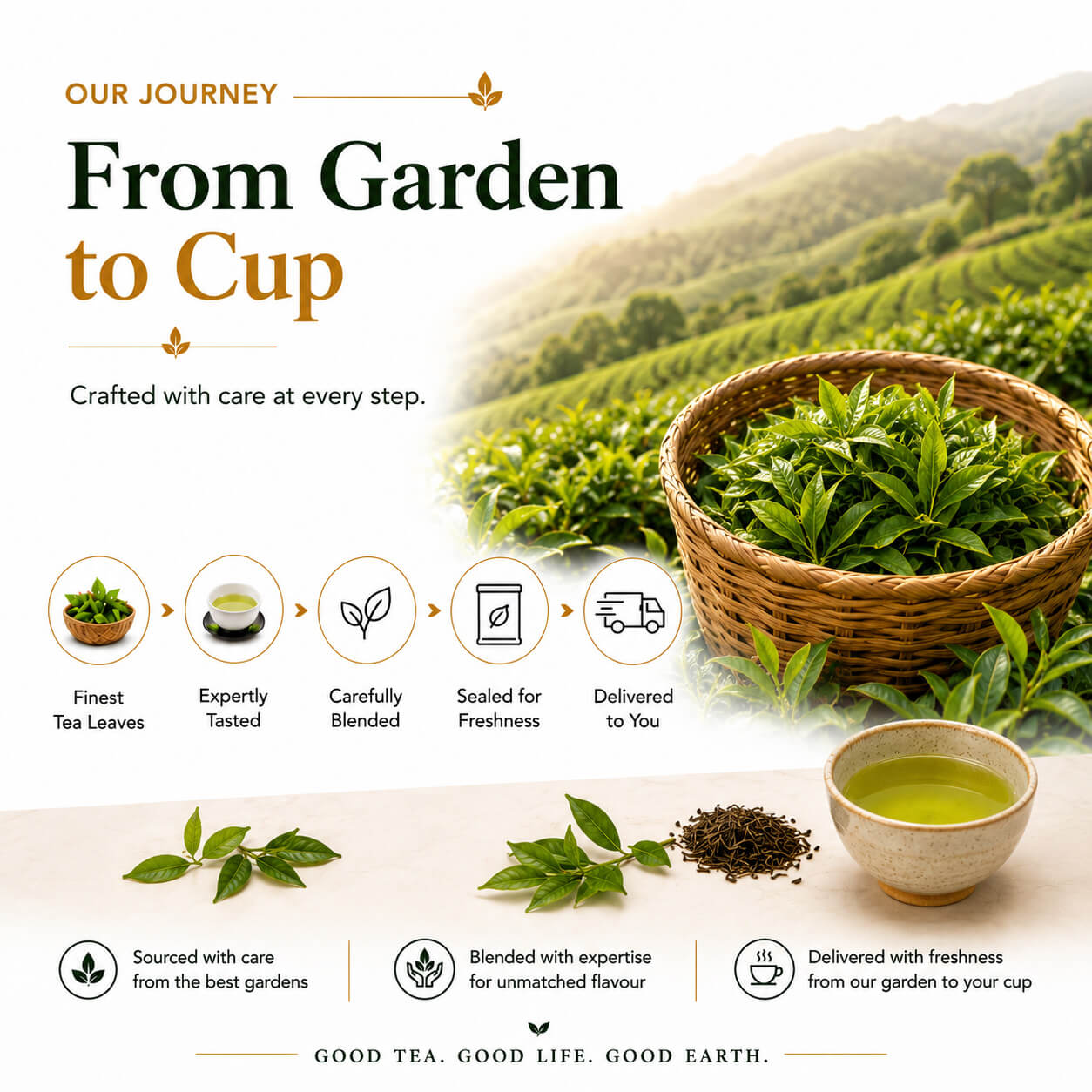 Kadha Green Tea Bags – World's First Ayurvedic Kadha Tea – Sancha