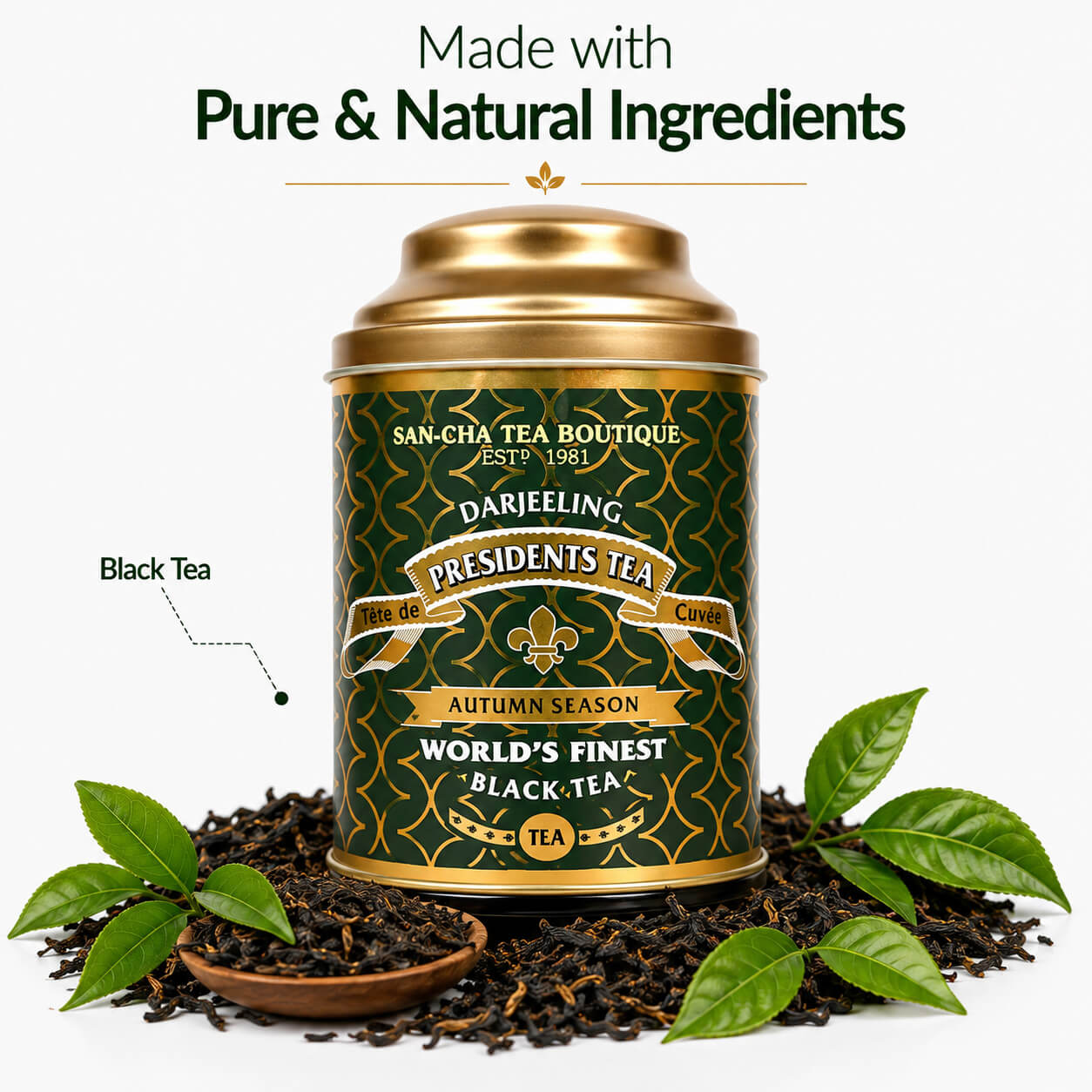 Grand Cru Darjeeling Tea | Autumnal Limited Edition – Sancha Tea