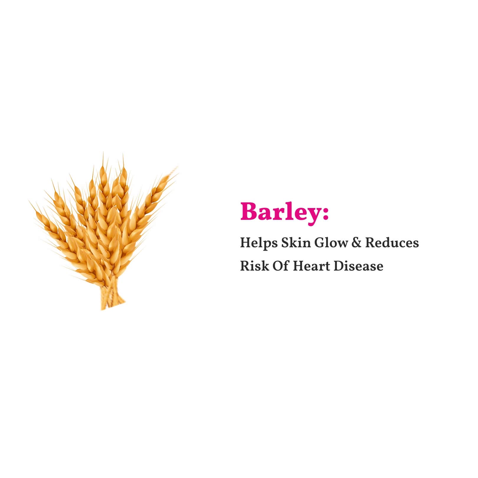 barley tea