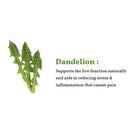 DANDELION TEA