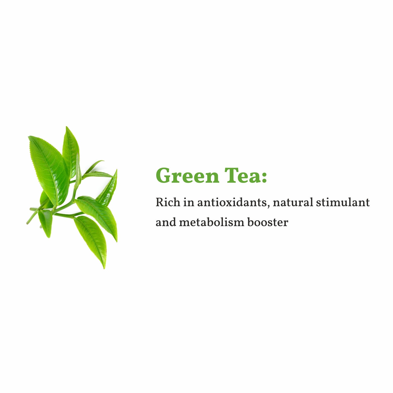 real green tea leaves