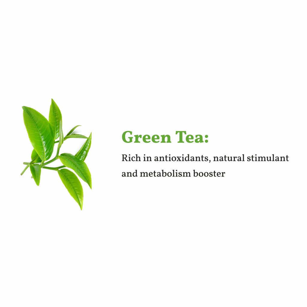 real green tea leaves