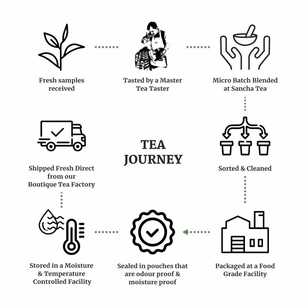 Sancha Tea: Tea Journey