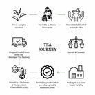 Sancha tea journey 